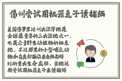 欧洲尺码日本尺码专线美国特价